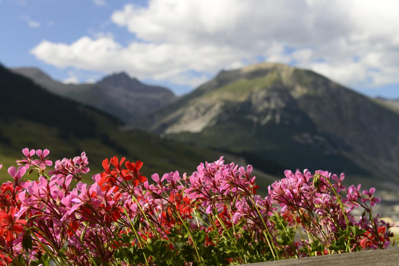 Chalet Garden Ливиньо Экстерьер фото