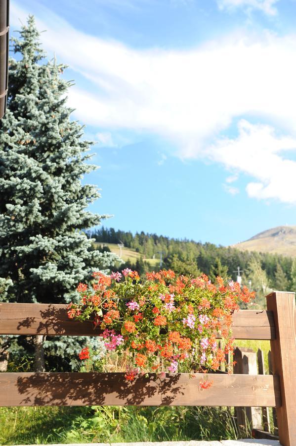Chalet Garden Ливиньо Экстерьер фото